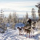 Поморье и Ненецкий АО разработали первый межрегиональный экспедиционный турмаршрут