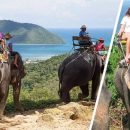 Туриста во время селфи убил слон