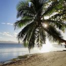 На остров Фиджи в 2022 году приедут 447 000 иностранных туристов