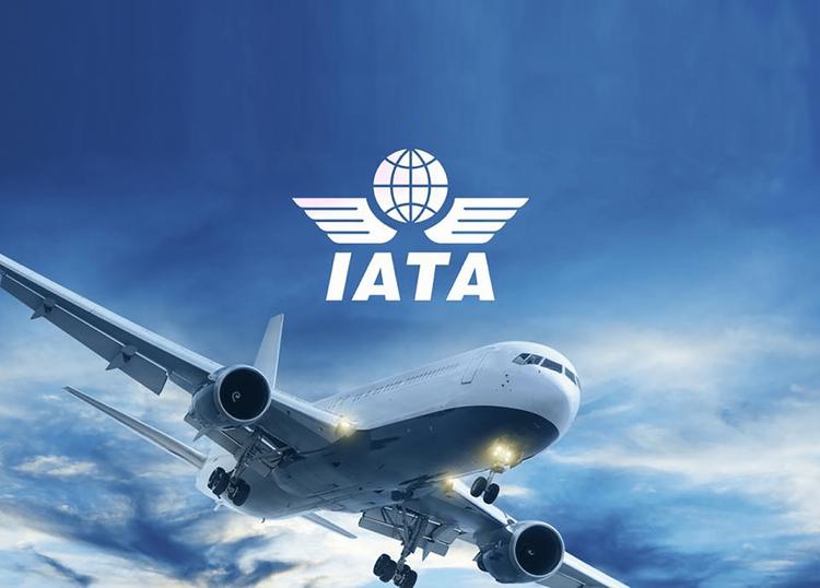 IATA жестко выступила за снятие всех ограничений на туристические поездки IATA жестко выступила за снятие всех ограничений на туристические поездки